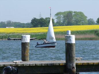 Schlei-Frühling für Selbstversorger