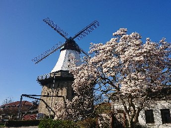 Schnupper-Frühjahr an der Schlei