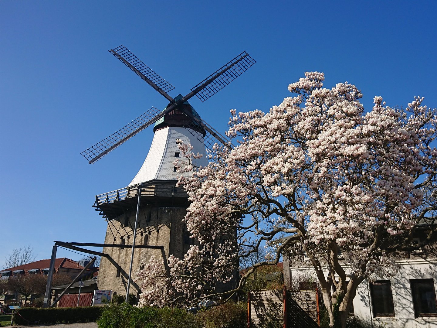 Schnupper-Frühjahr an der Schlei