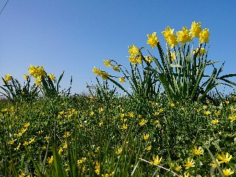 Ostern an der Schlei