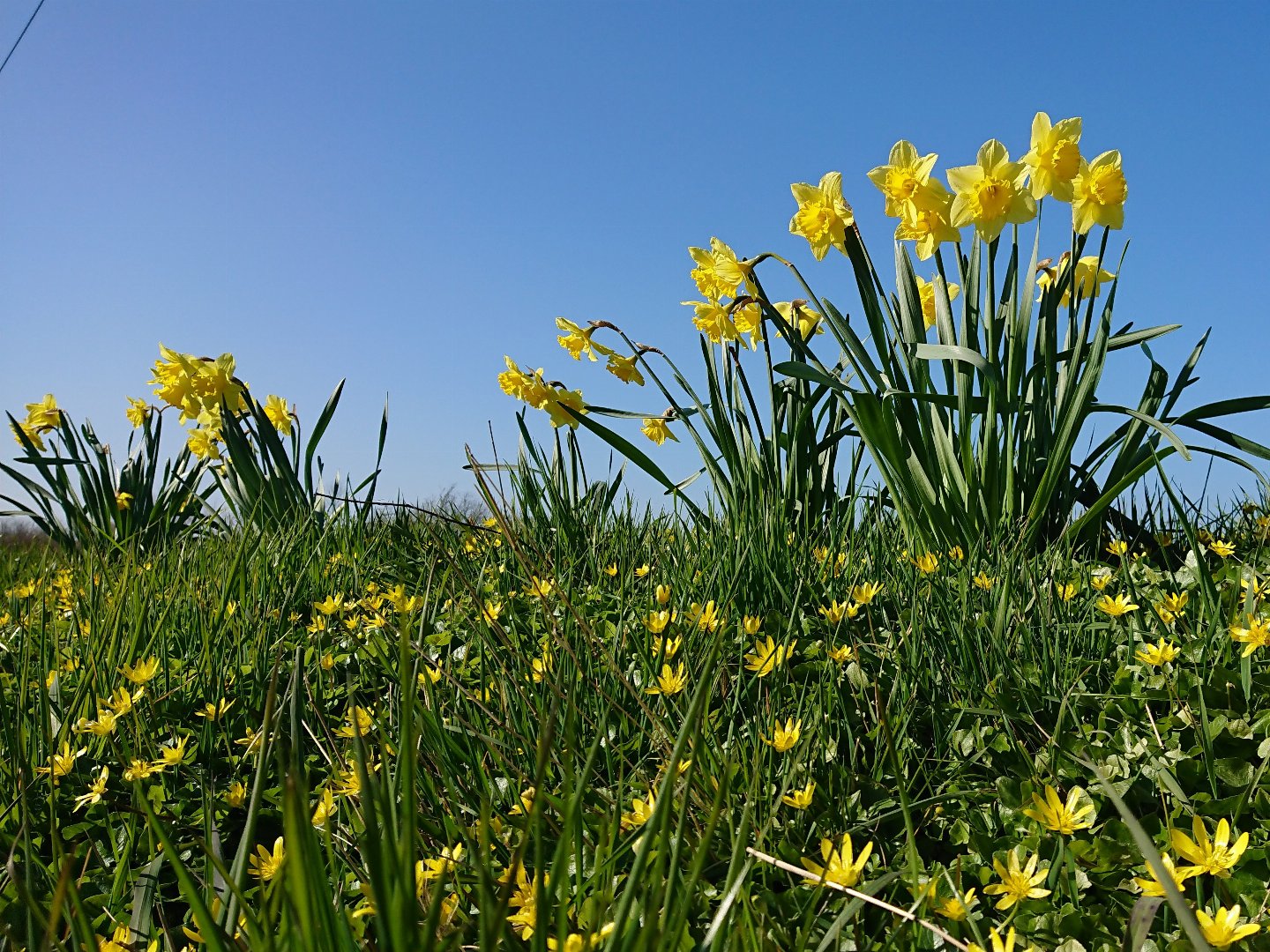 Ostern an der Schlei