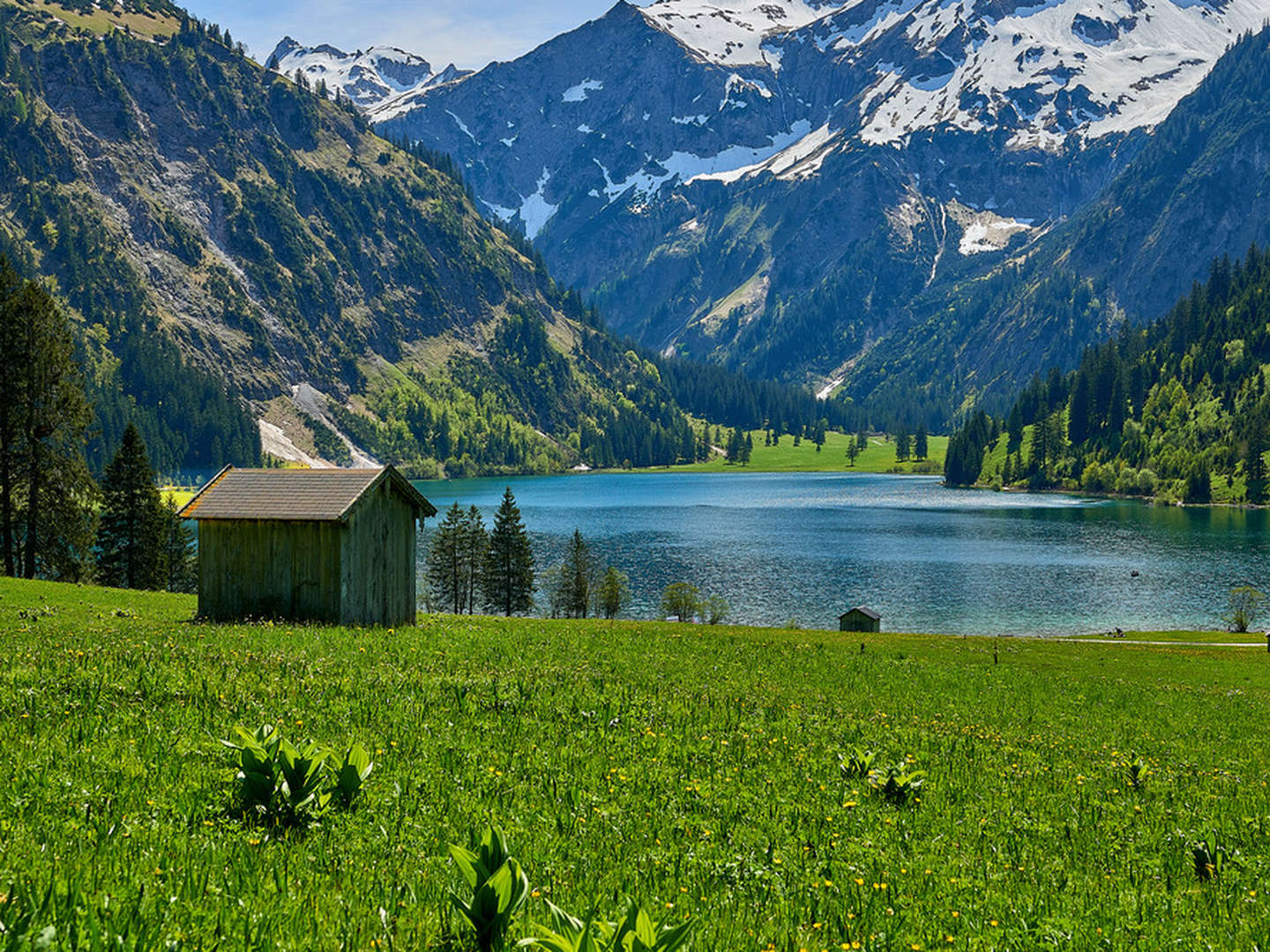 Sommermärchen am Haldensee inkl. Private Dinner & Picknickkorb & Wellnessgutschein