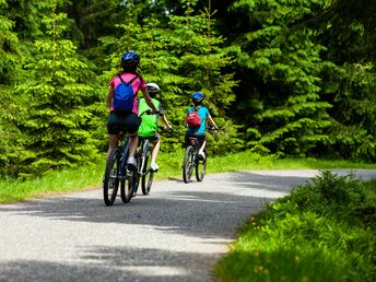 Mit dem Fahrrad das wunderschöne Erzgebirge erkunden inkl. Halbpension