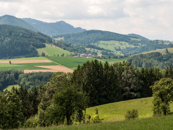 2 Tage Kurzurlaub im Lifestyle-Hotel in Steyr 