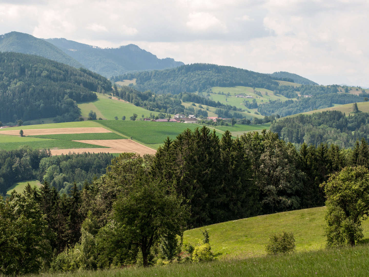 2 Tage Kurzurlaub im Lifestyle-Hotel in Steyr 