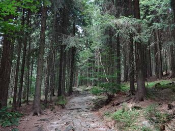 Wellness Auszeit in Desendorf - 4 Nächte  