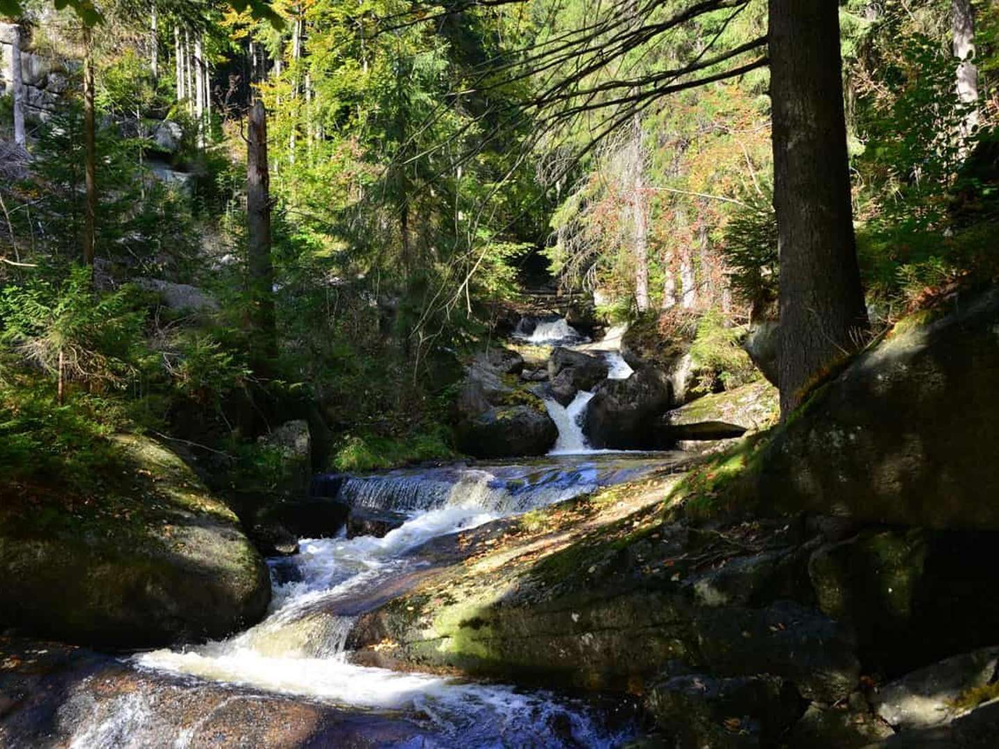 Wellness Auszeit in Desendorf - 3 Nächte 