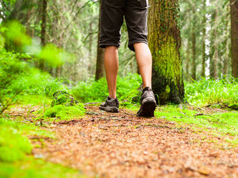 Wandern auf den Spuren der Ritter und Römer 4 Tage