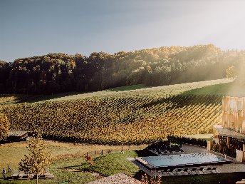 Zur Ruhe kommen inmitten der steirischen Weinberge | 3 Nächte