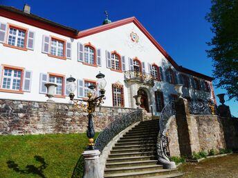 Weingarten zum Kennenlernen - 5 Tage im Schwarzwald