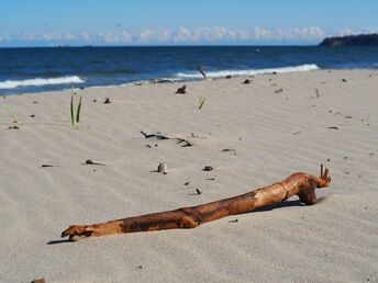 3 Tage Ostsee inkl. Sauna exklusiv