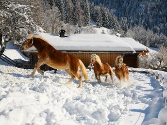 Kurzurlaub im Advent im Gut Berg Naturhotel im Salzburger Land | 3 Nächte