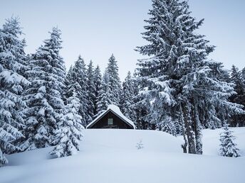 Mid-Week Trip im Advent im Salzburger Land inkl. Weihnachtsbäckerei | 2 Nächte 