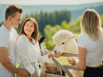 Erholungsurlaub in der Steiermark - Auszeit in der Natur inkl. regionales Frühstück | 6 Nächte