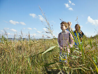 Meeresluft, Strand & Natur - 3 Tage Kurzurlaub an der Ostsee