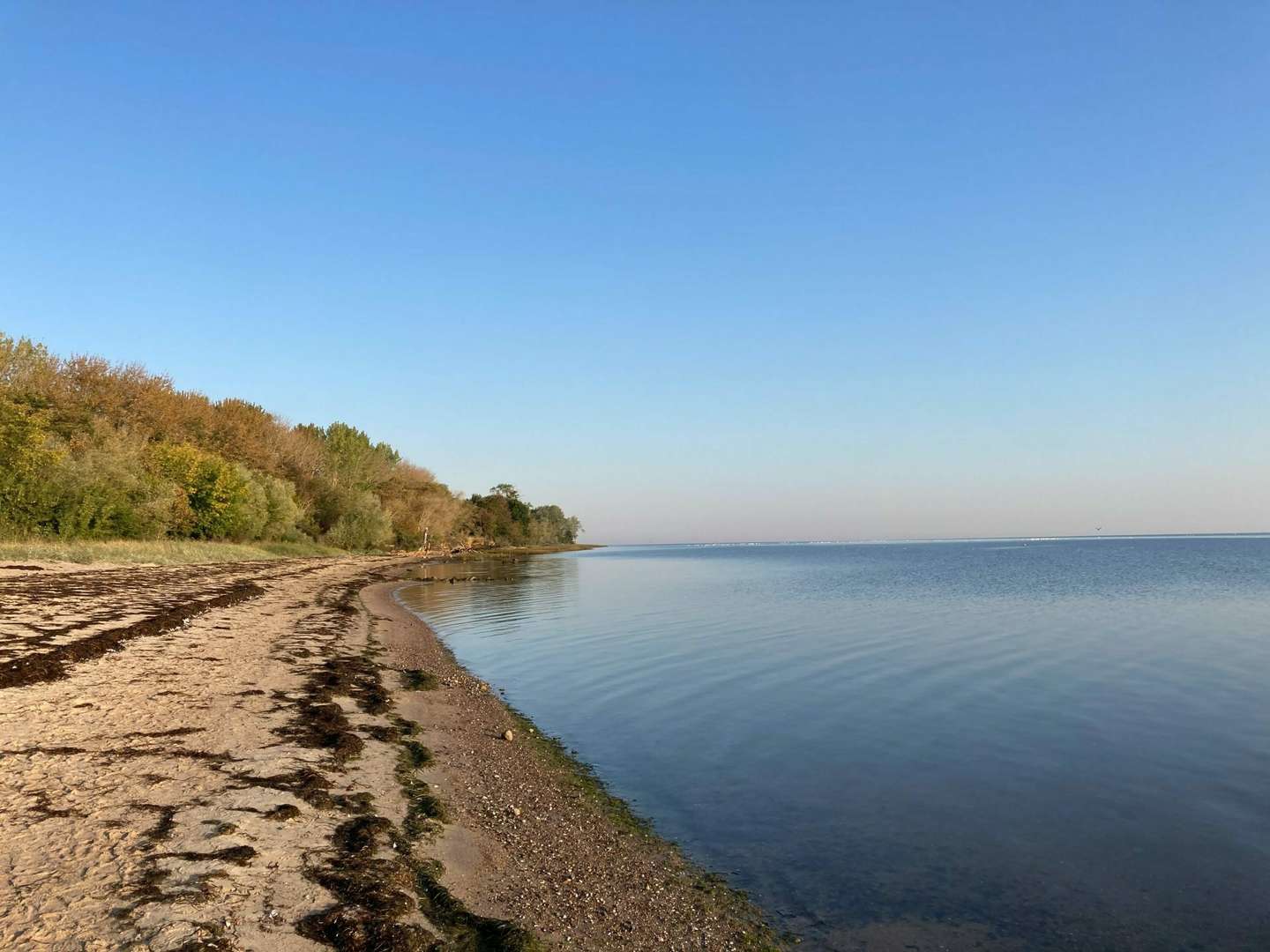 Meeresluft, Strand & Natur - 3 Tage Kurzurlaub an der Ostsee