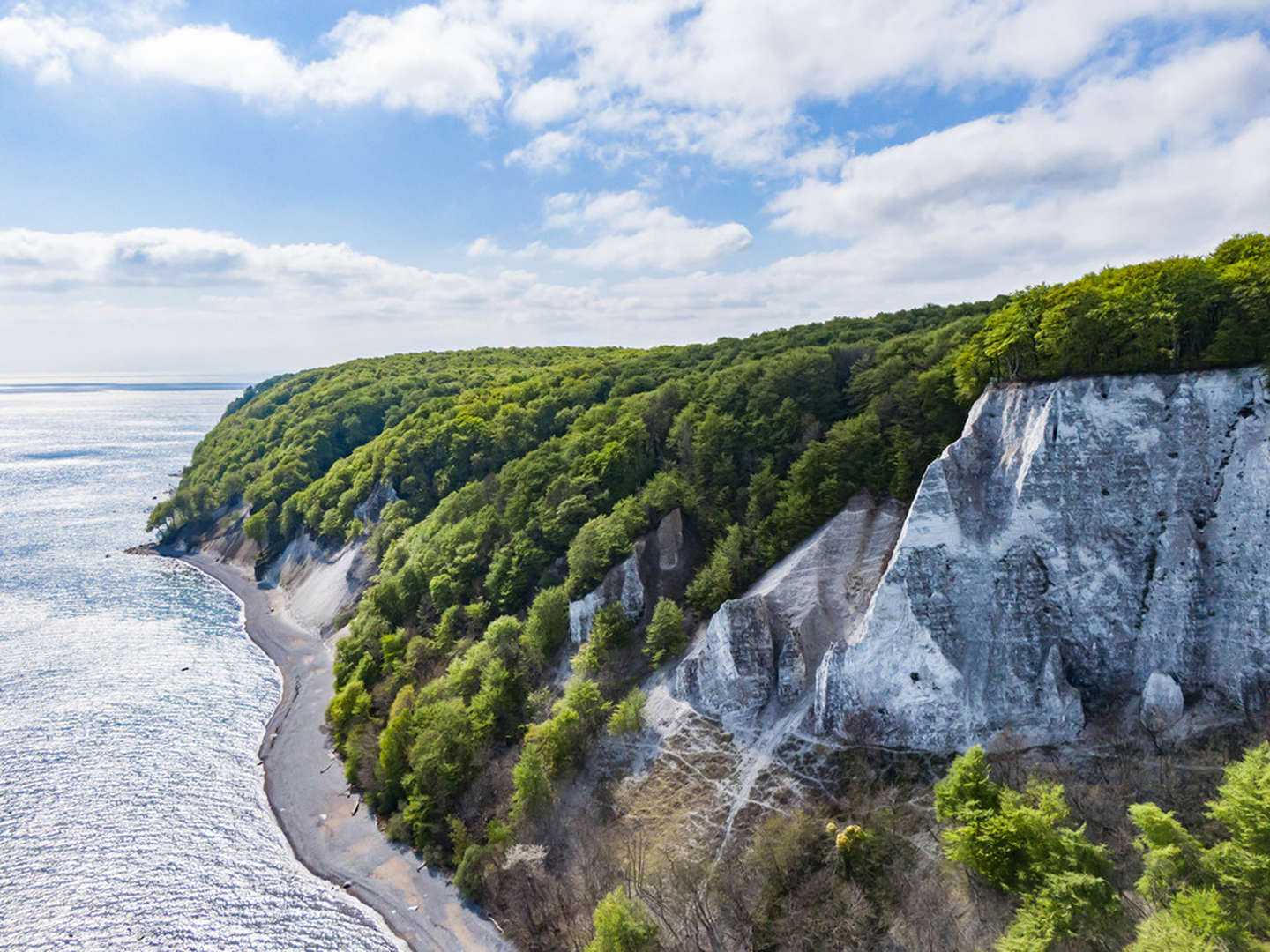 Weitblick - Rügen inkl. Eintritt Baumwipfelpfad & Abendessen