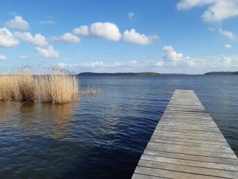 Vier Jahreszeiten auf Rügen mit Königsstuhl & Baumwipfelpfad