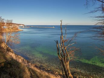 4 Tage Weitblick - Rügen inkl. Eintritt Baumwipfelpfad & Abendessen