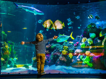 Auszeit mit Sealife in Hockenheim- 3 Tage