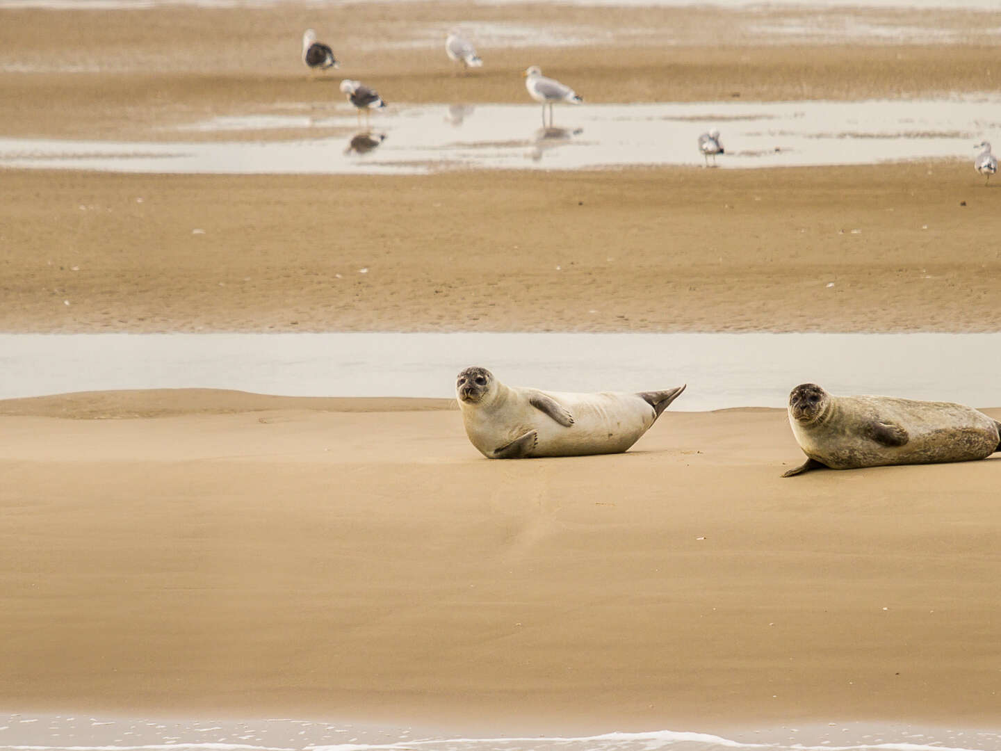 Ihre idyllische Auszeit zwischen Strand & Natur 