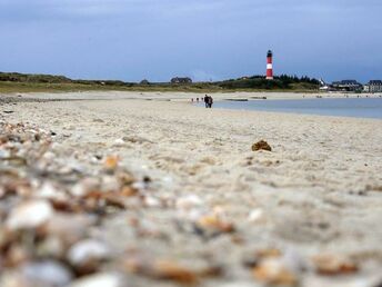 Nordseeluft auf Sylt schnuppern