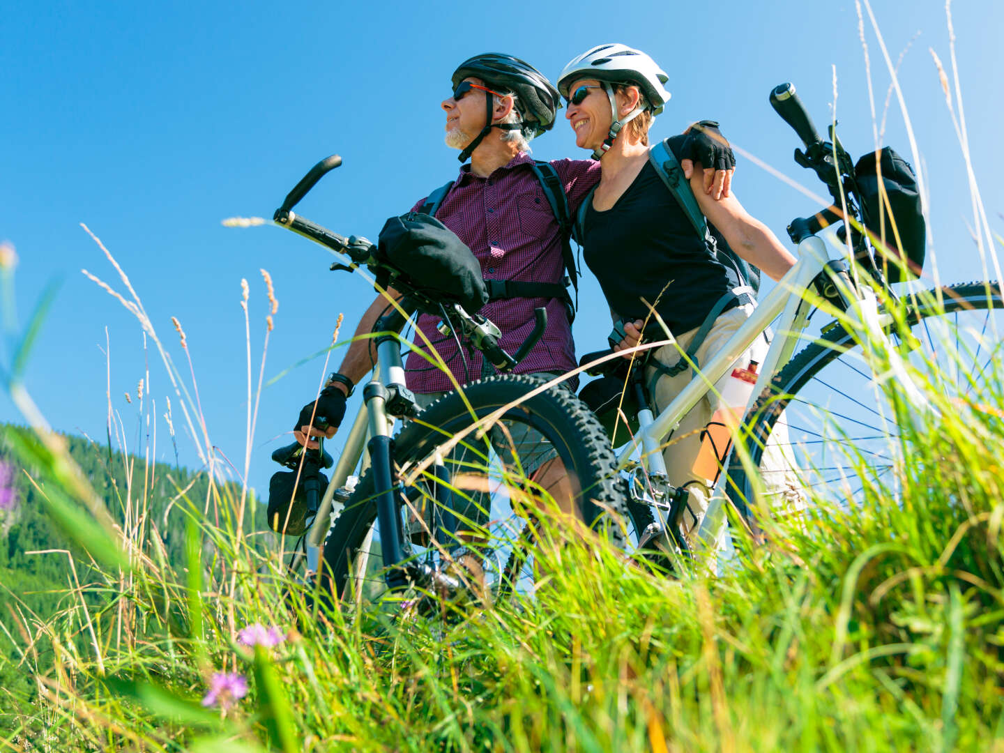 Schönes Land in Sicht - bei Freiburg im Breisgau inkl. 1 Tag Leihfahrrad