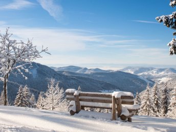 Kleine Auszeit im Schwarzwald - Premium Alles Inklusive  