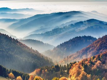 Kleine Auszeit im Schwarzwald - Premium Alles Inklusive  