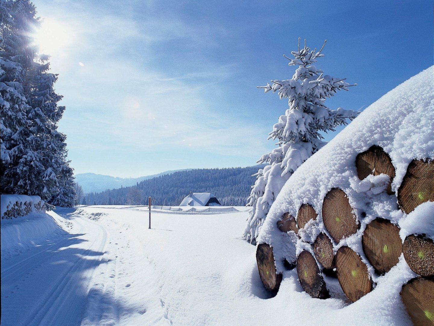 Kleine Auszeit im Schwarzwald - Premium Alles Inklusive  