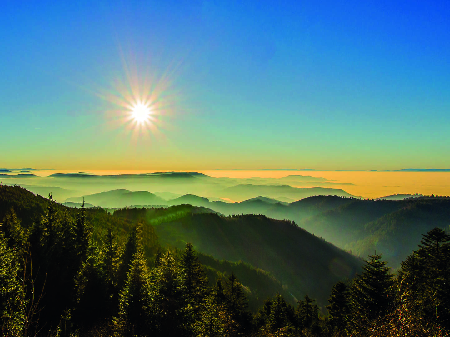 Kleine Auszeit im Schwarzwald - Premium Alles Inklusive  