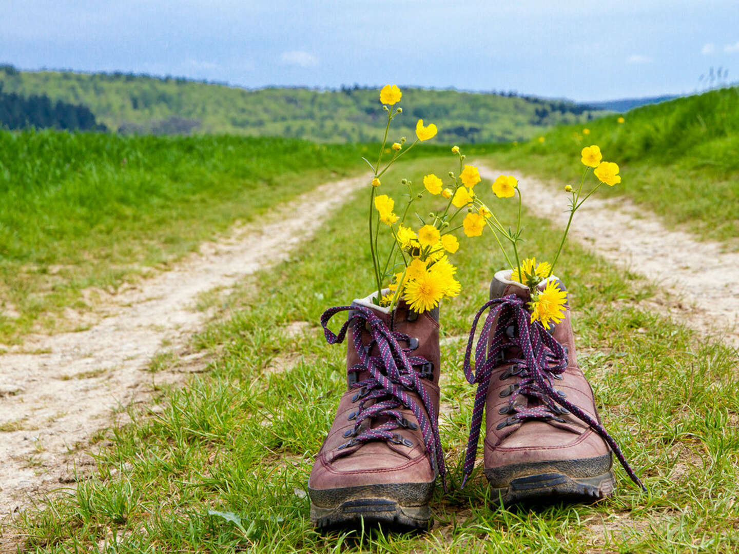 Kleine Auszeit im Schwarzwald - Premium Alles Inklusive  