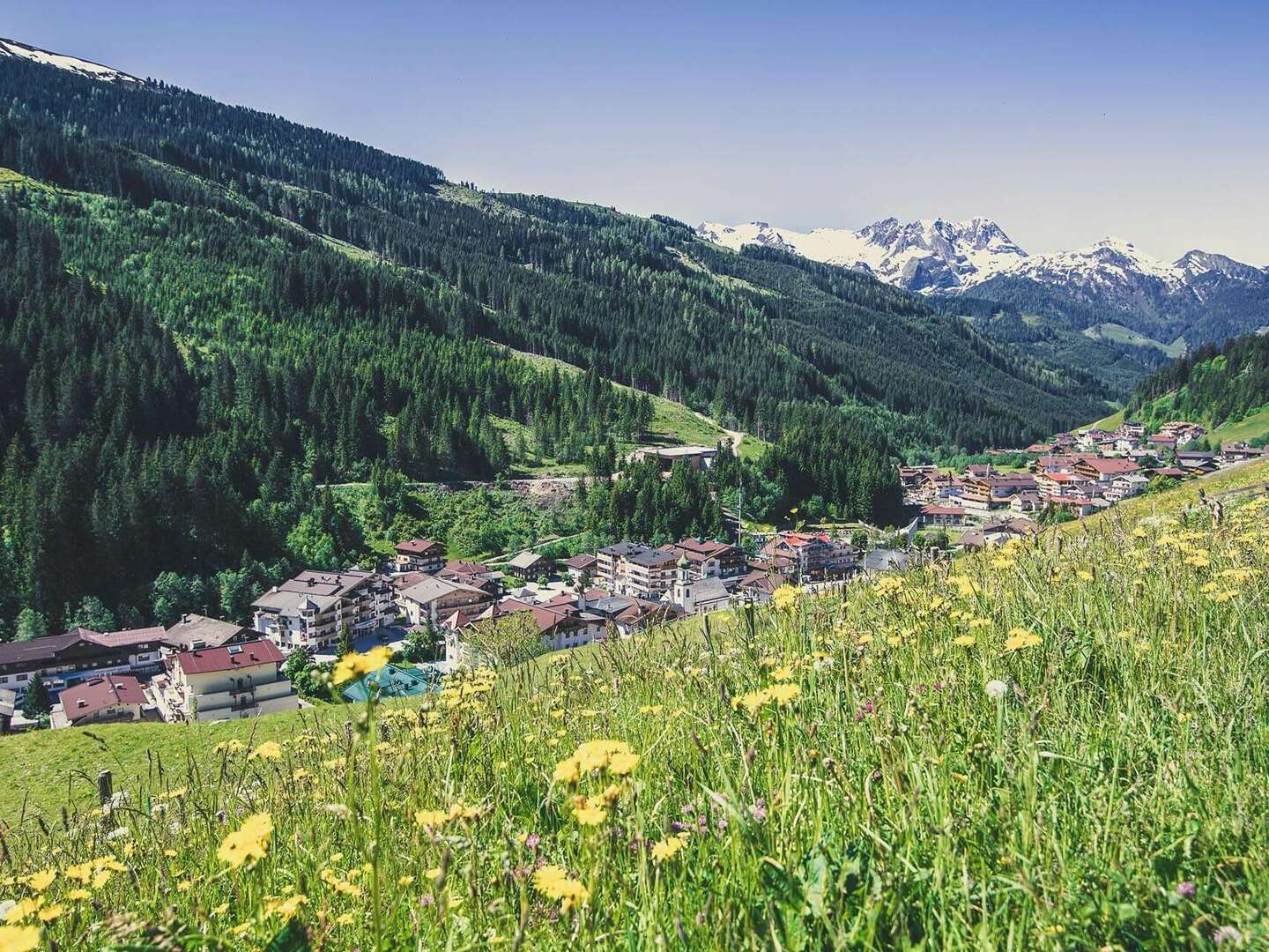 Almwandern im Zillertal inkl. Bergfahrt - Appartements | 3 Nächte 