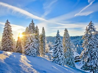 Wintertage in Feldberg