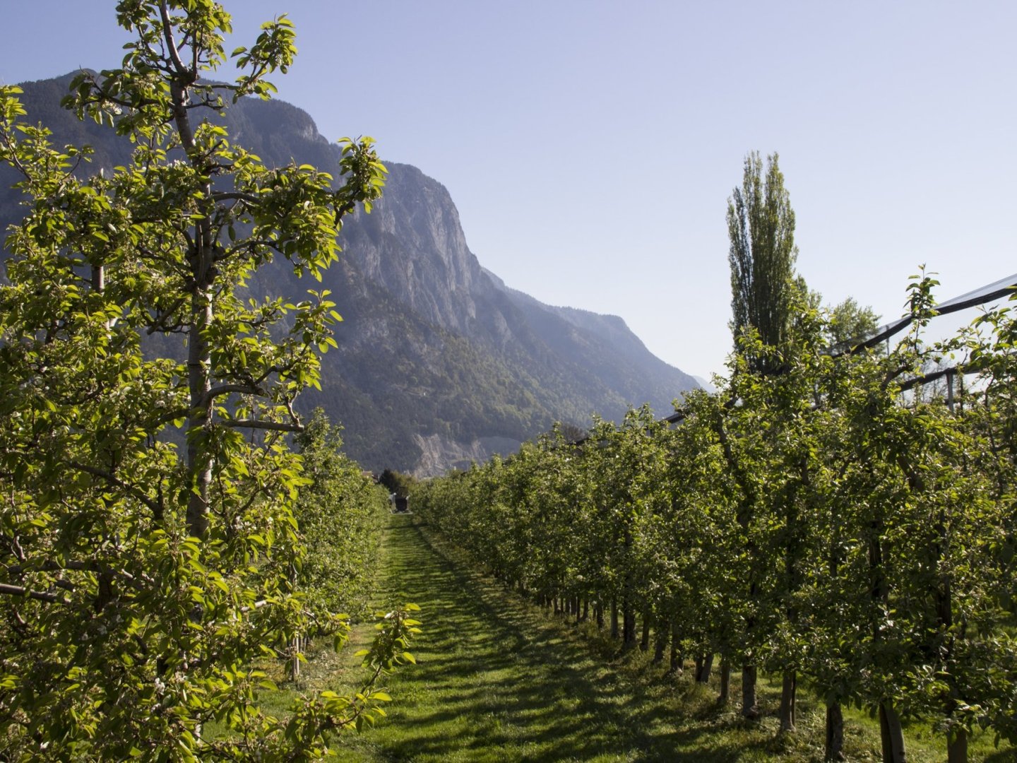 Tiroler Bergidylle – Urlaub in Kematen bei Innsbruck