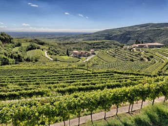 Valpolicella - Entdecken Sie die Provinz von Verona | 2 Nächte