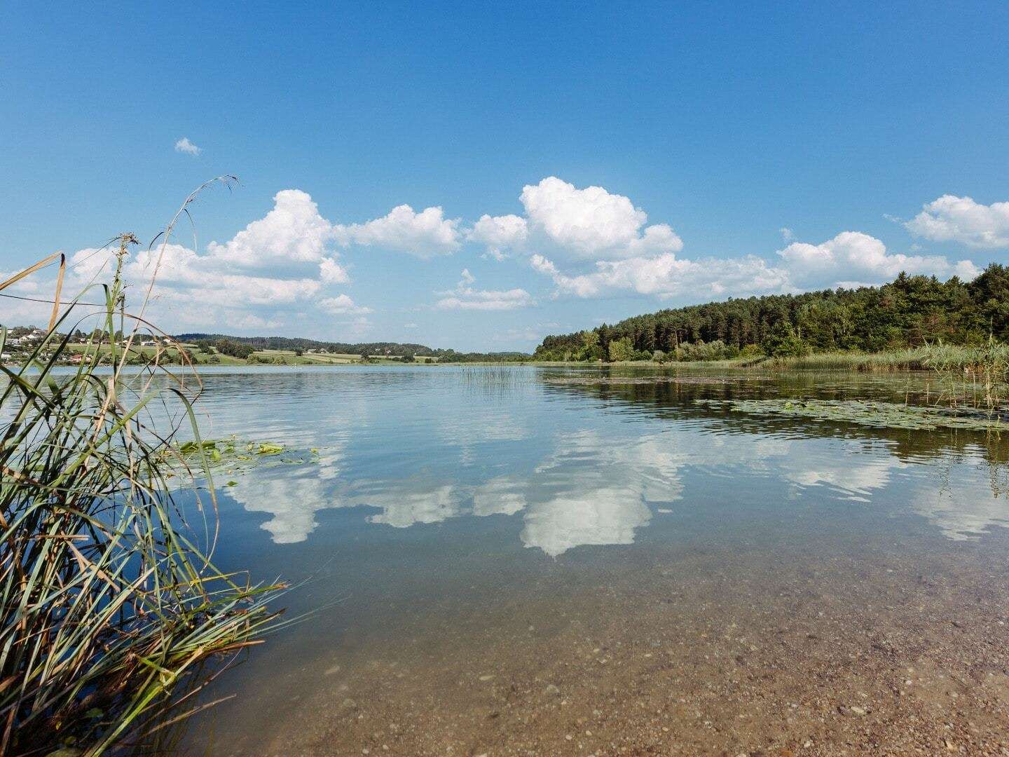 Kurz mal raus & Natur am Turnersee - 5 Nächte