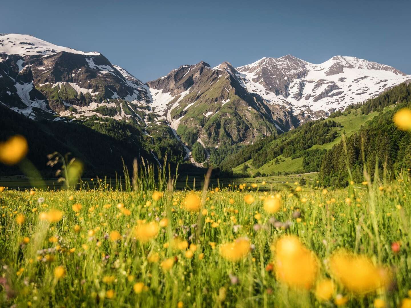 Sommerurlaub in den Bergen zwischen Zell am See & Kitzbühel | 6 Nächte