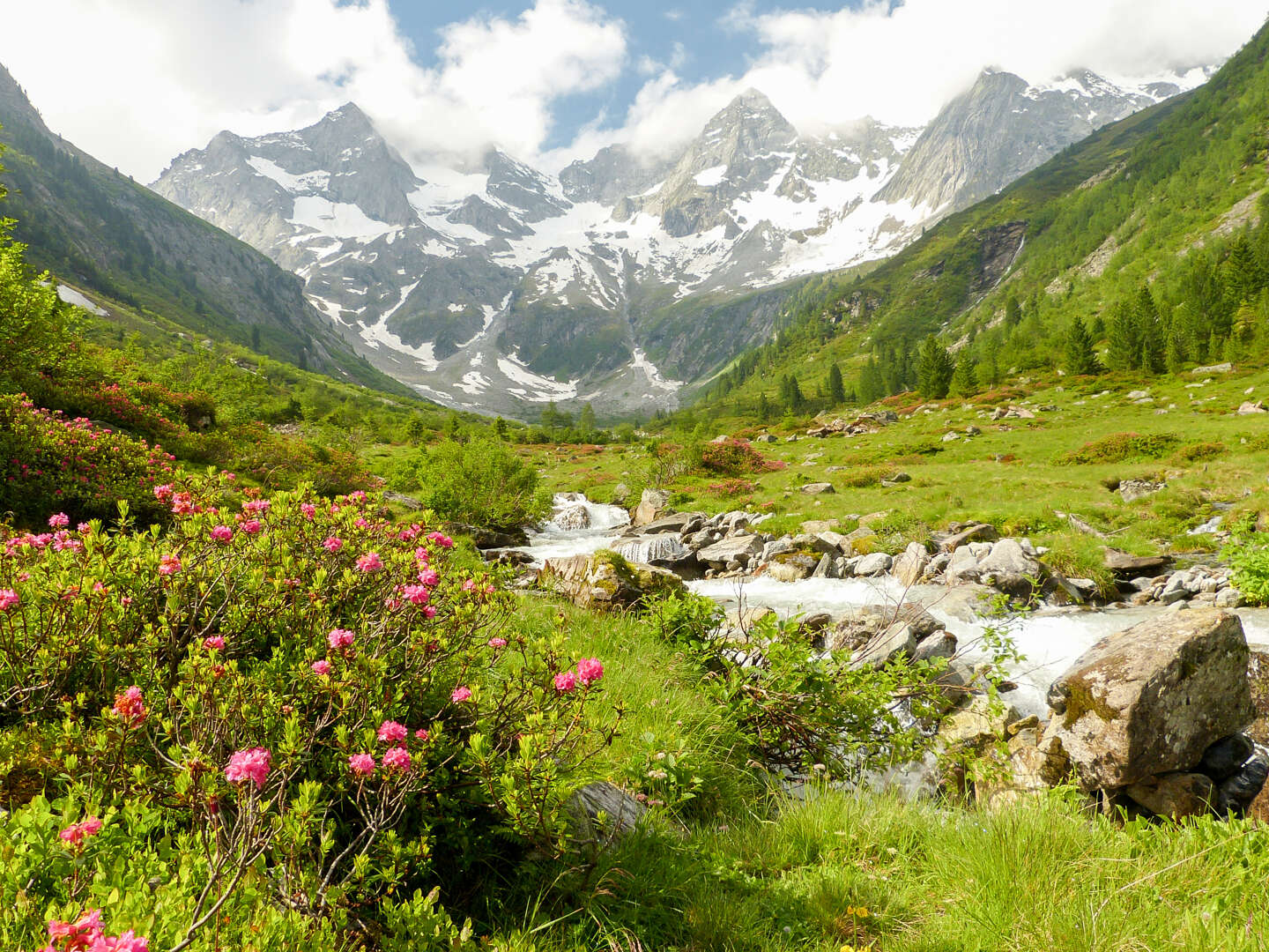 Sommerurlaub in den Bergen zwischen Zell am See & Kitzbühel | 5 Nächte