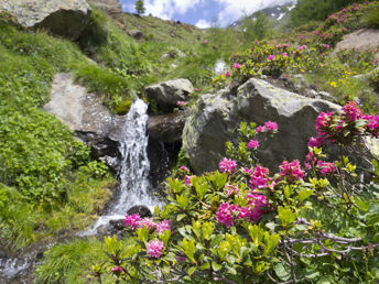 Wanderurlaub im Nationalpark Hohe Tauern mit Wellnessgenuss | 6 Nächte