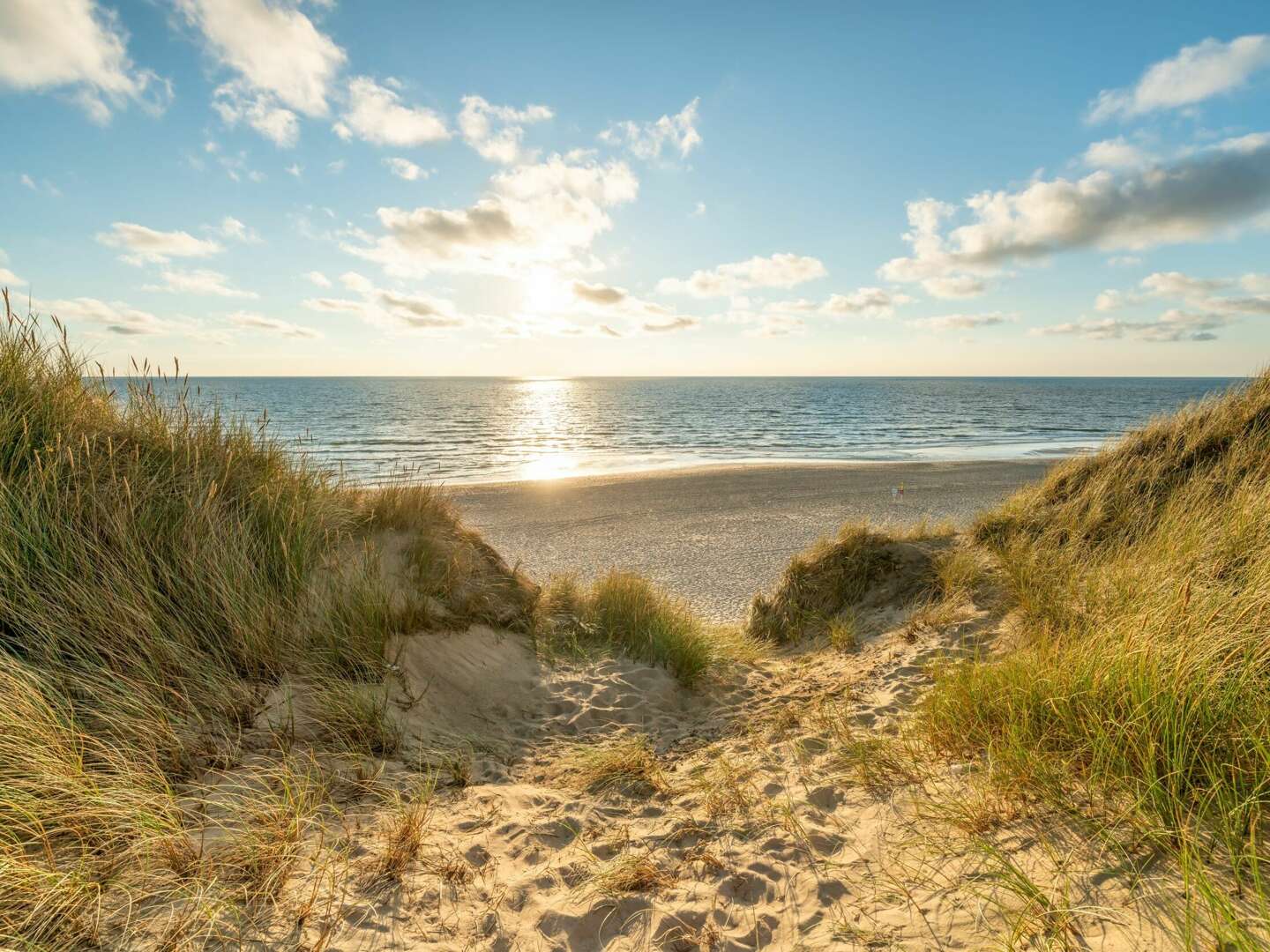 Auf Sylt entspannen inkl. Abendessen