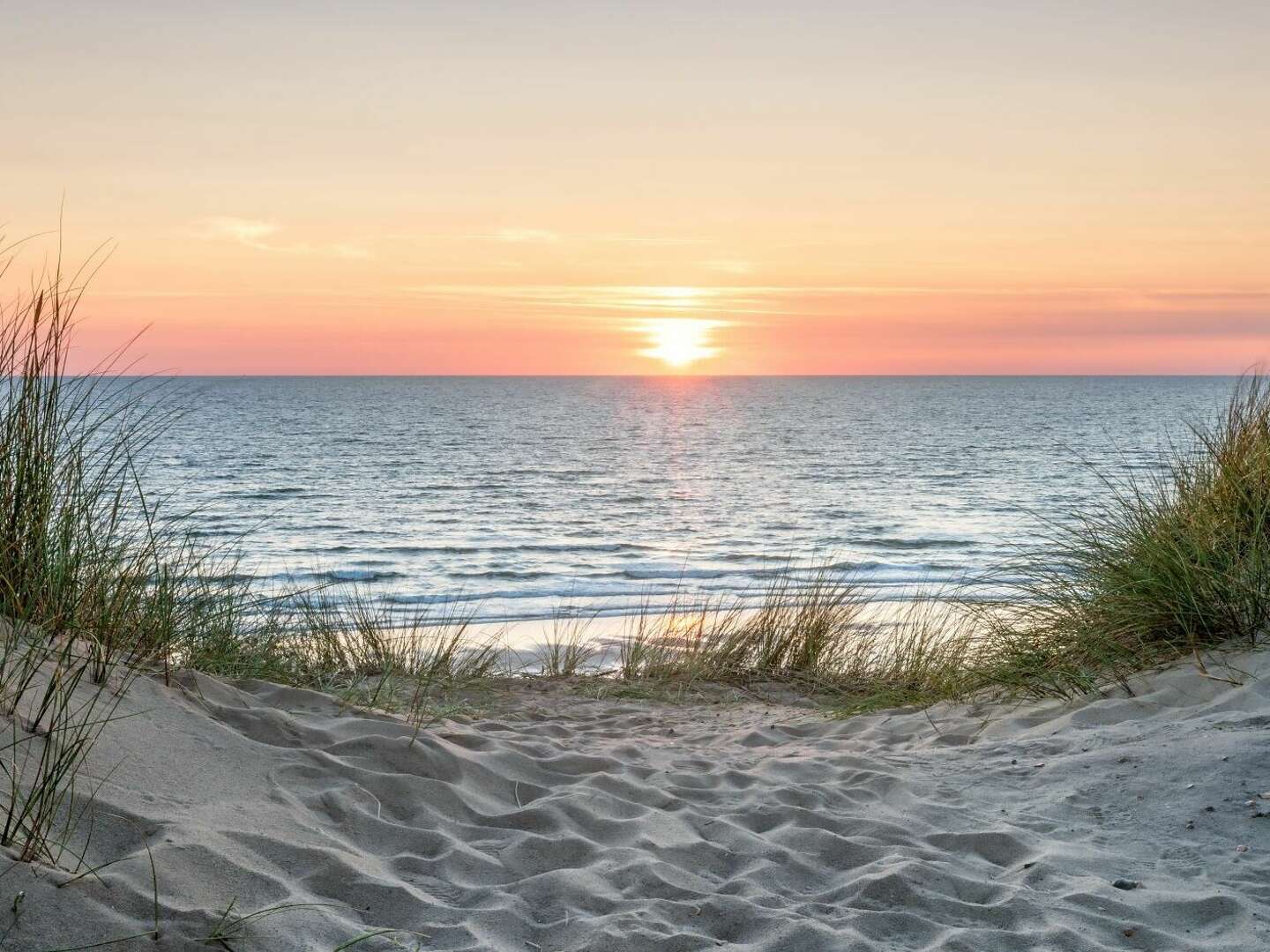 Sylt entdecken inkl. 1 x Abendessen