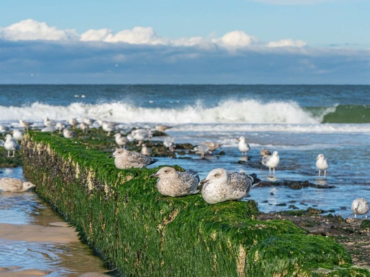 Verträumte Momente auf Sylt