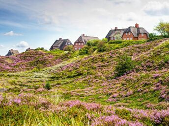 Erleben Sie eine zauberhafte Zeit auf Sylt