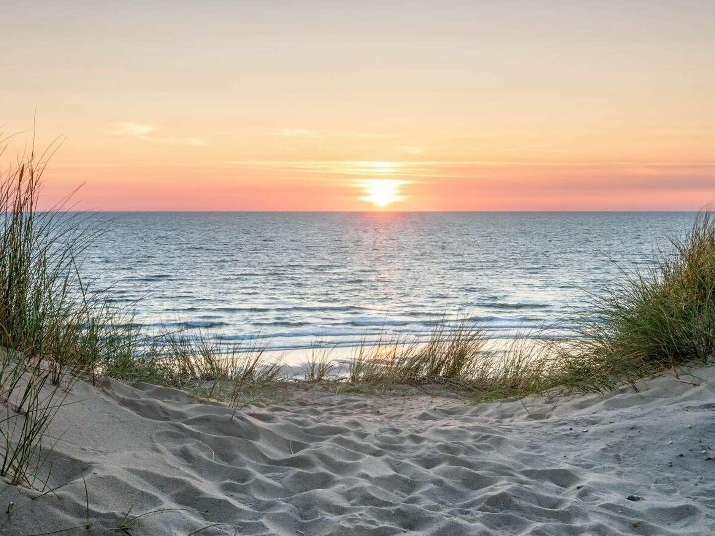 Erleben Sie eine zauberhafte Zeit auf Sylt