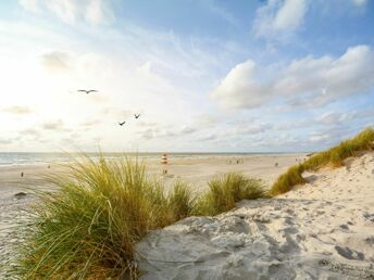 Verträumte Momente auf Sylt