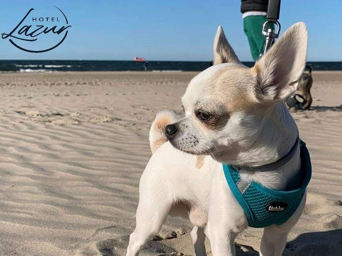 Wanderung am Ostsee-Strand | 4 ÜF