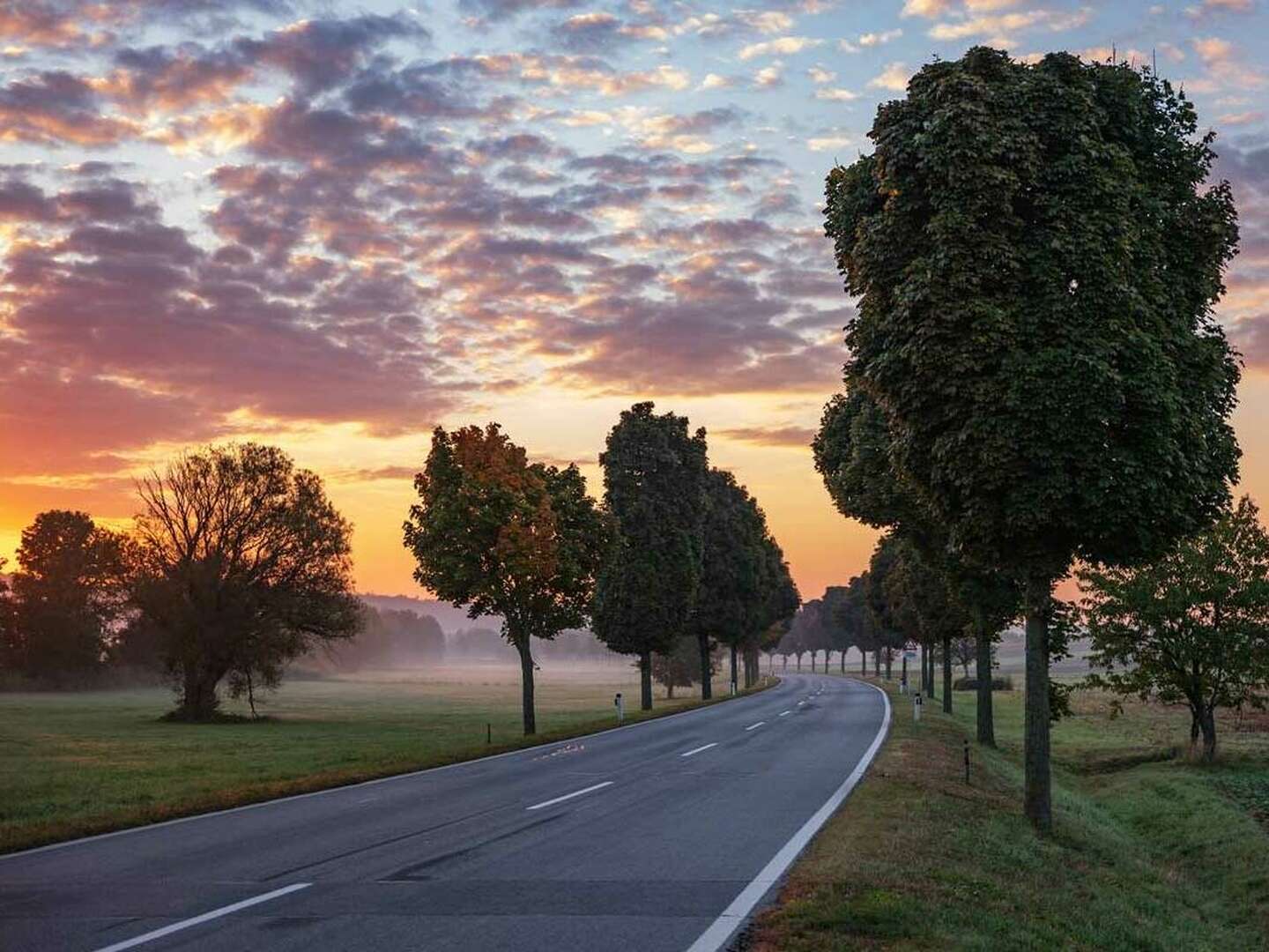 Fellnassen aufgepasst | 3 Tage Urlaub mit Hund in Lutzmannsburg