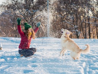 Ruhiger Silvesterurlaub mit Hund | 6 Nächte