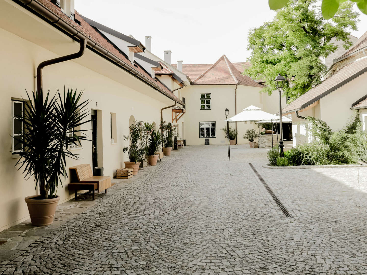 Genießerauszeit im Kamptal inkl. Pralinen & Prosecco | 3 Nächte